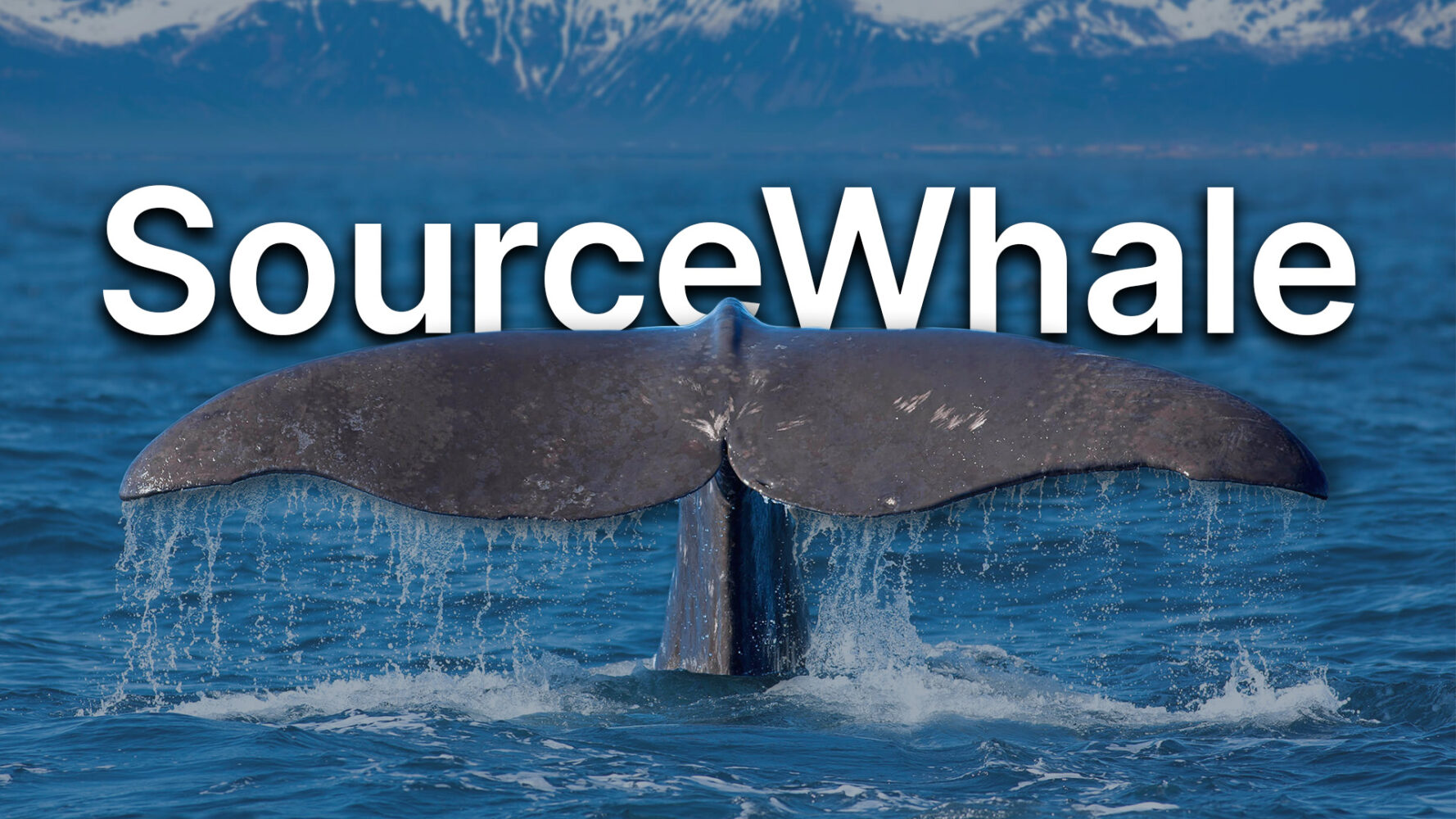 Want To Automate Your Applicant Outreach itris 9 Recruitment CRM X SourceWhale Showcase